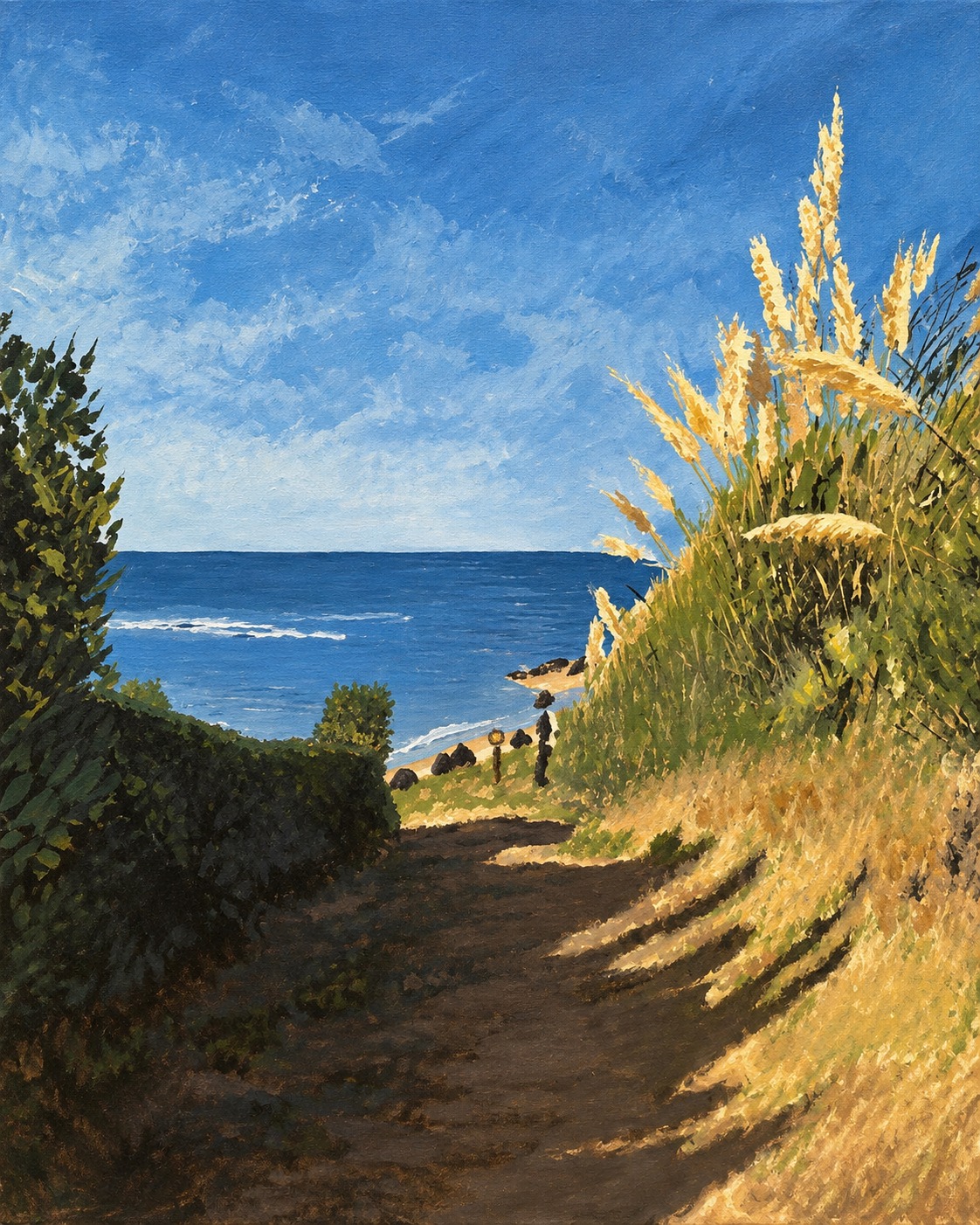 Chemin des dunes, 2024